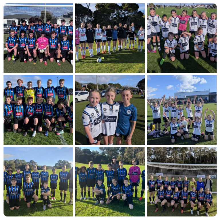 dev-cup-2026